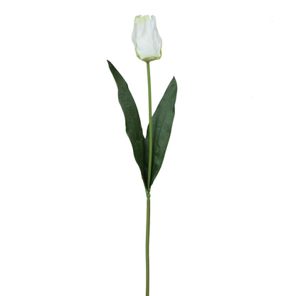 Tekotulppaanin kukkavarsi, 66 cm