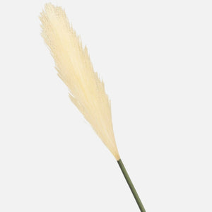 Kollane