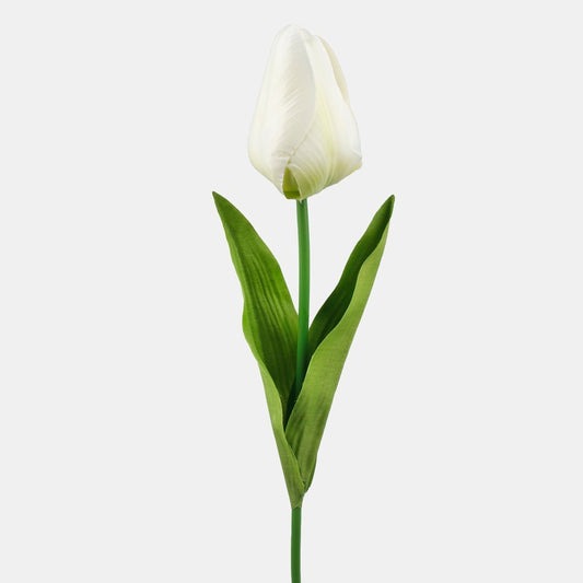 Kreemivärvi kunsttulp 67 cm - Kunstlilled
