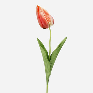Oranž