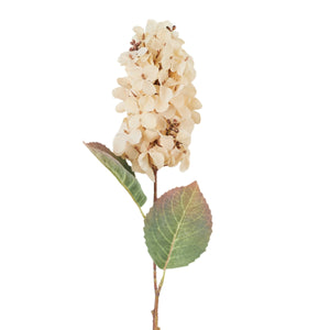 Vaalea Beige