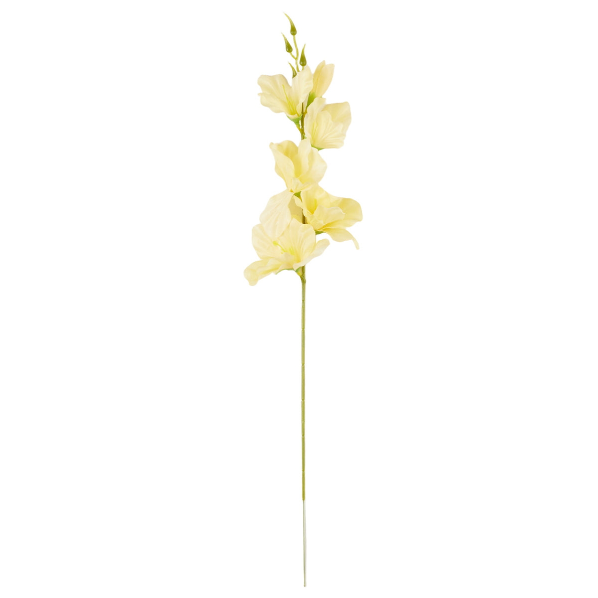 Vaalea keltainen gladiolus – tekokukka