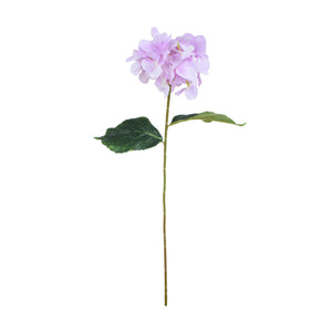 Vaalea Liila