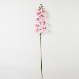 Vaalea/Vaaleanpunainen/Fuksia