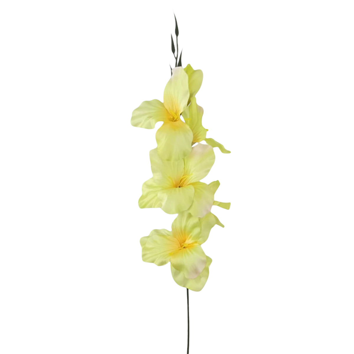 Vaalea vihreä gladiolus – tekokukka, 55 cm