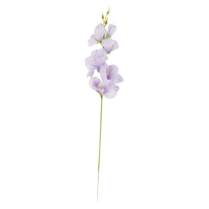Vaalea Violetti
