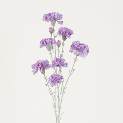 Vaalea violetti tekoneilikan kukkavarsi