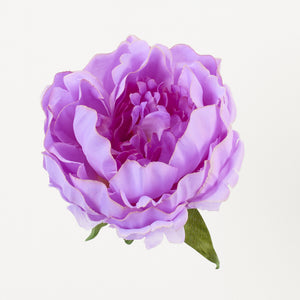 Vaalea Violetti