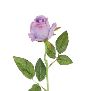 Vaalea Violetti
