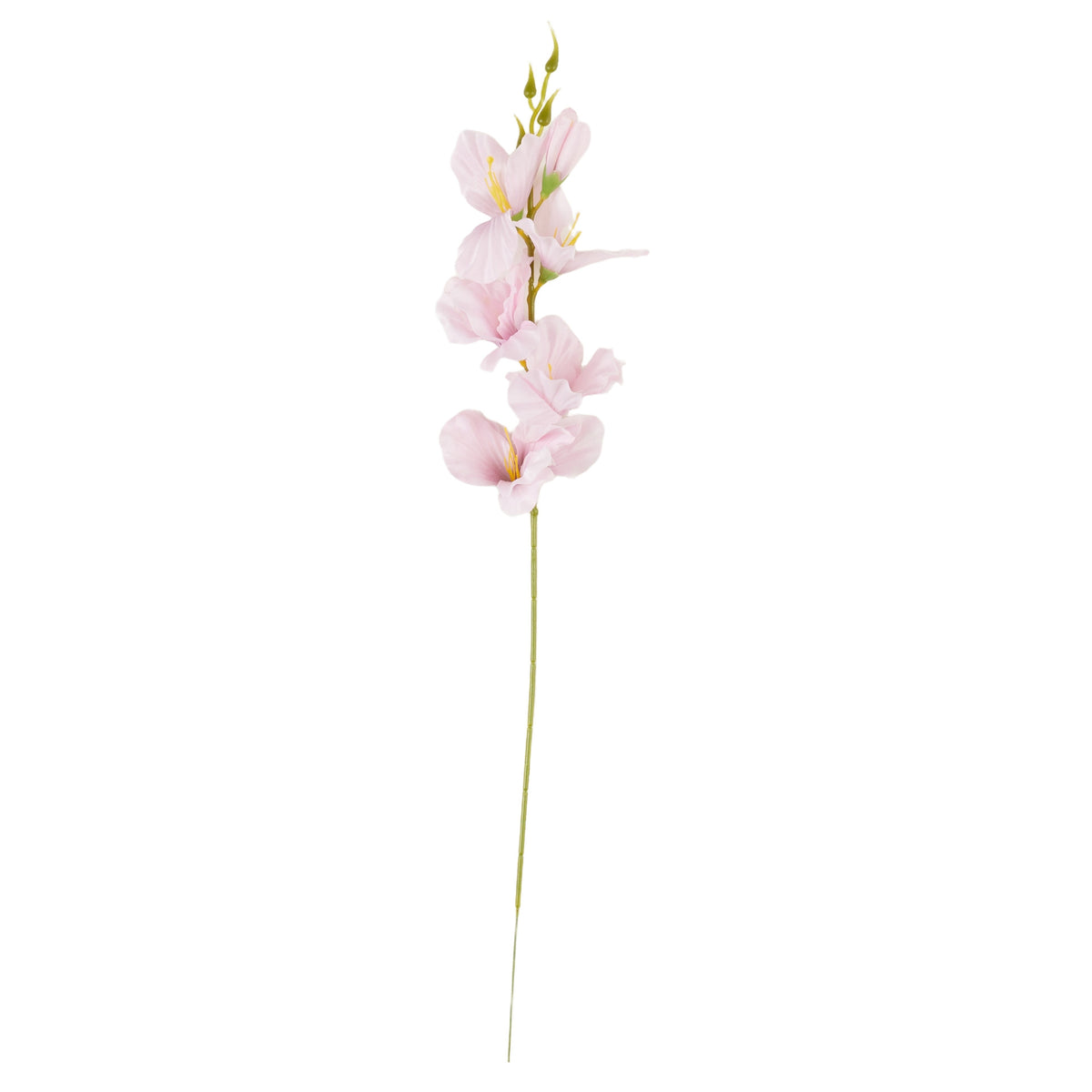Vaaleanpunainen gladiolus – tekokukka