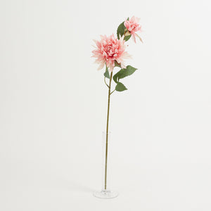 Vaalea Vaaleanpunainen