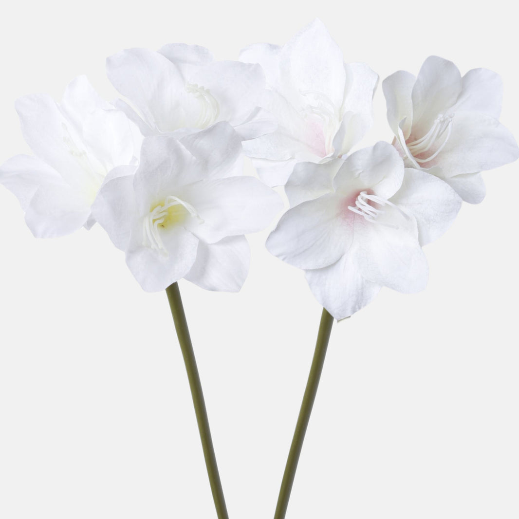 Värilajitelma amaryllis – tekokukka, 68 cm