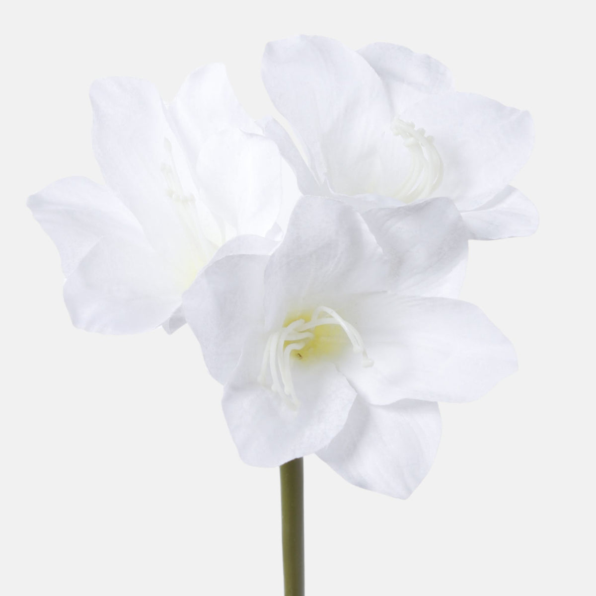 Värilajitelma amaryllis – tekokukka, 68 cm