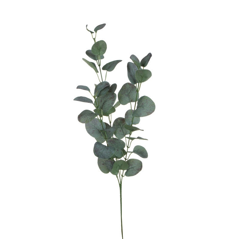 Värilajitelma eukalyptus – koristeoksa, 70 cm