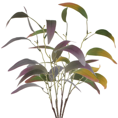 Värilajitelma koristeoksa, 60 cm