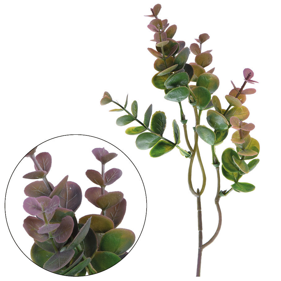 Vihreä eukalyptus – koristeoksa, 37 cm