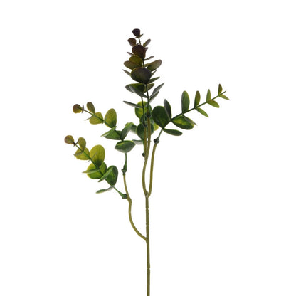 Vihreä eukalyptus – koristeoksa, 37 cm