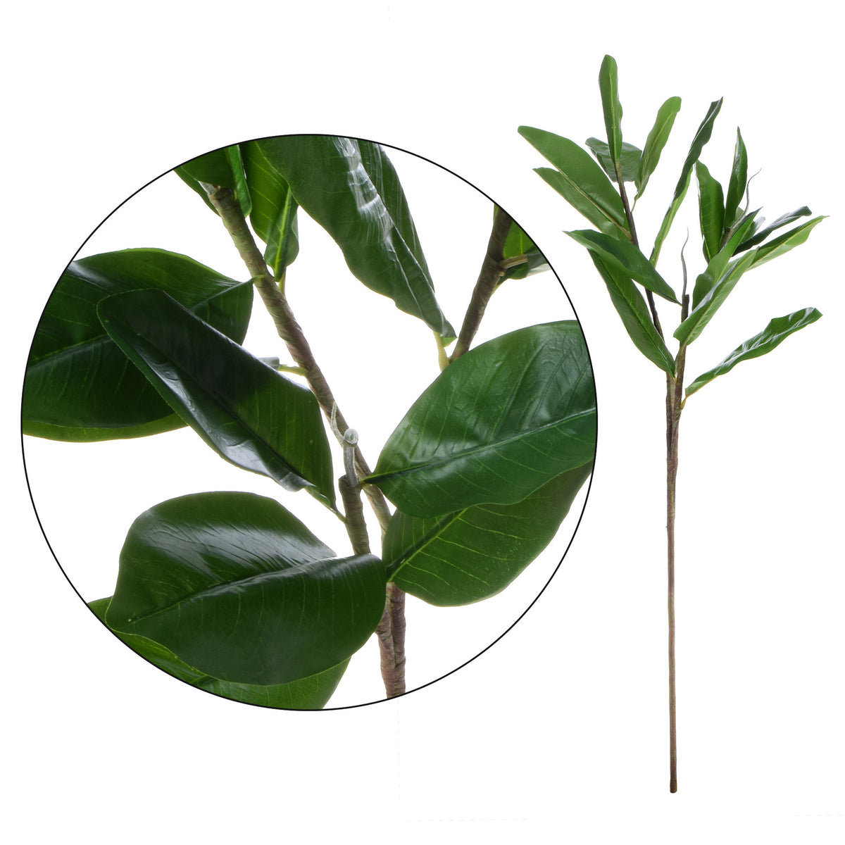 Vihreä magnolia – koristeoksa, 85 cm