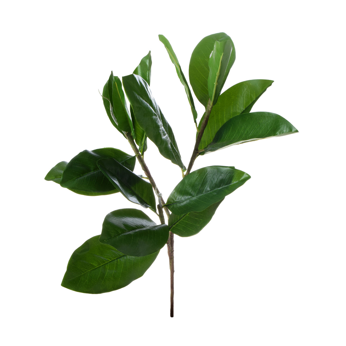 Vihreä magnolia – koristeoksa, 85 cm