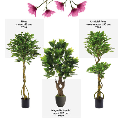 Vihreä magnolia – tekopuu, 126 cm