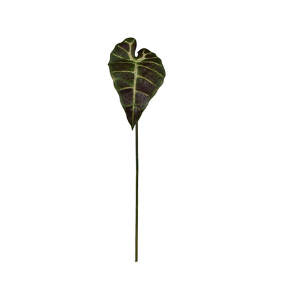 Vihreä/ruskea alokasia – tekolehti, 60 cm