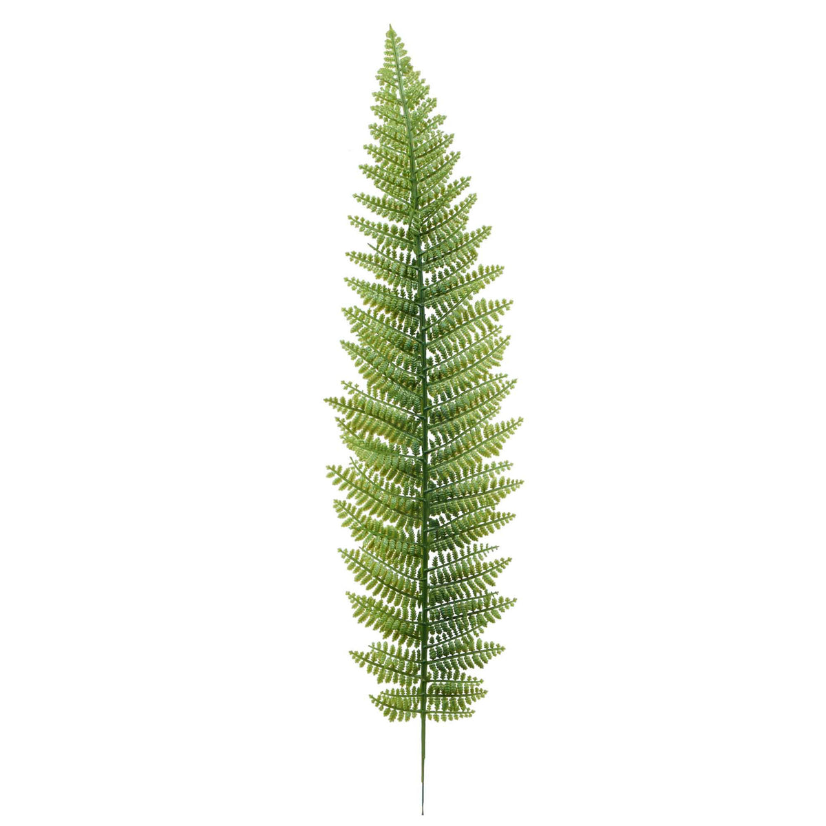 Vihreä saniainen – tekolehti, 55 cm