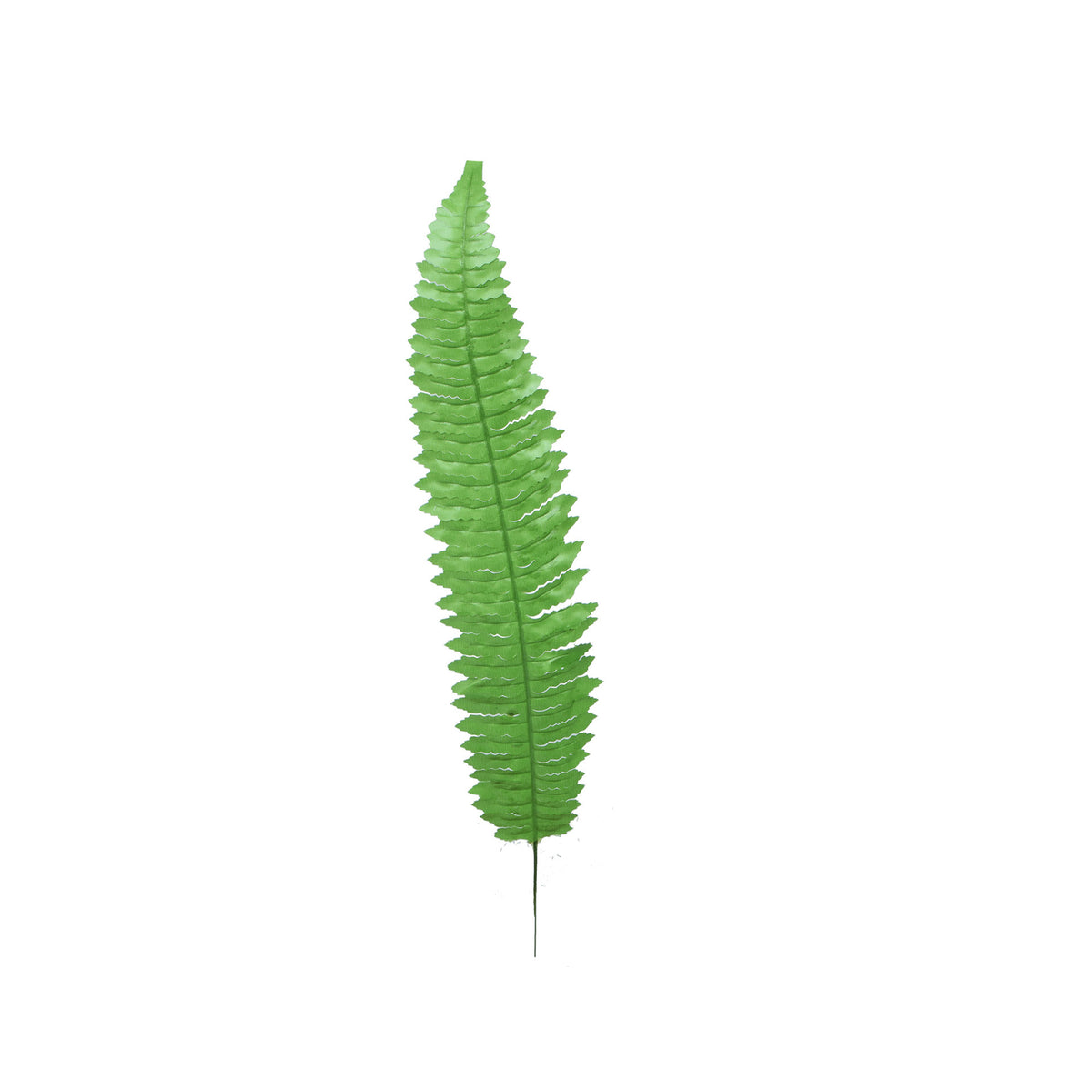 Vihreä saniainen – tekolehti, 55 cm