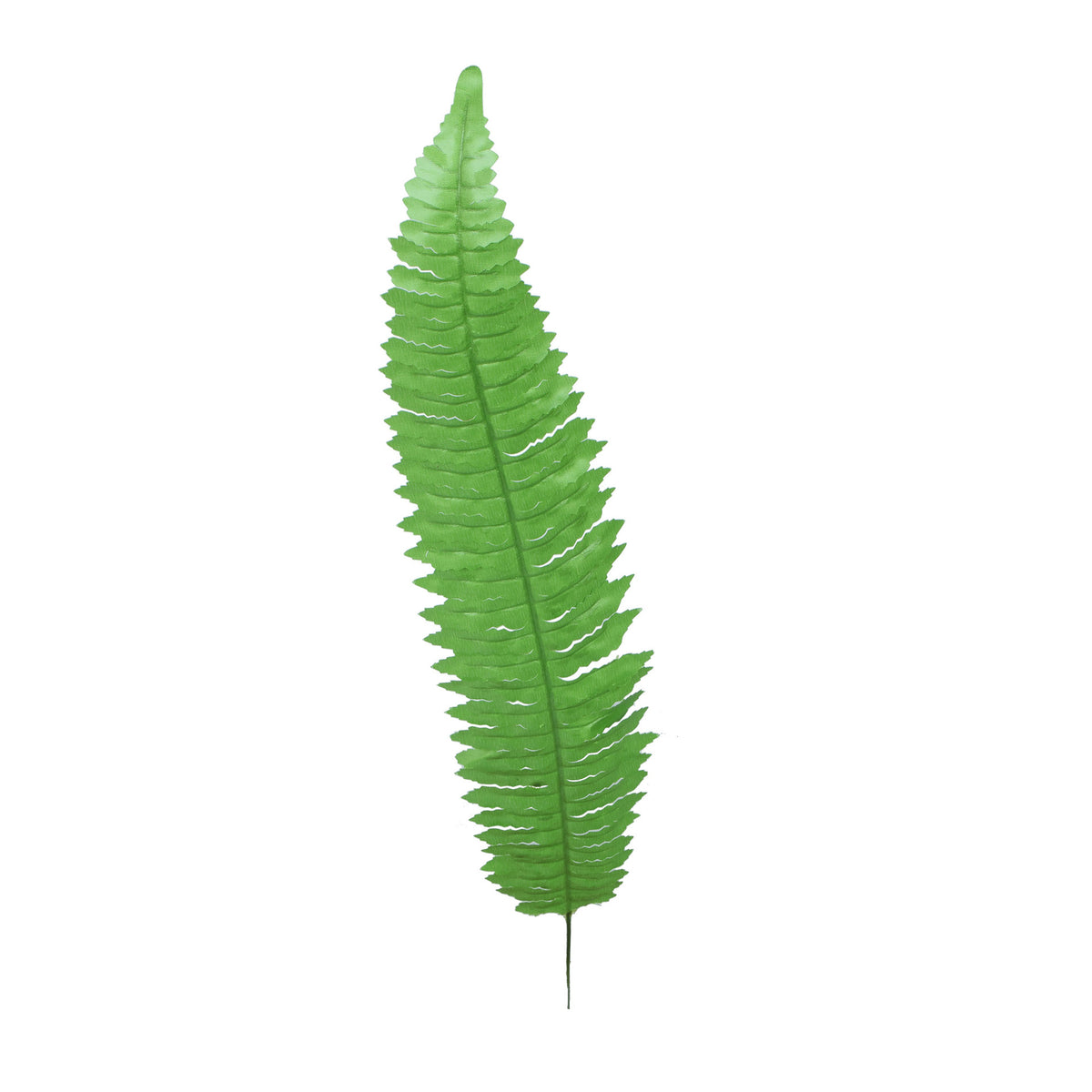 Vihreä saniainen – tekolehti, 55 cm