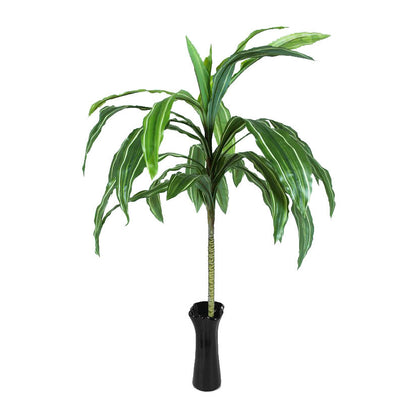 Vihreä traakkipuu – ruukkutekokasvi, 110 cm
