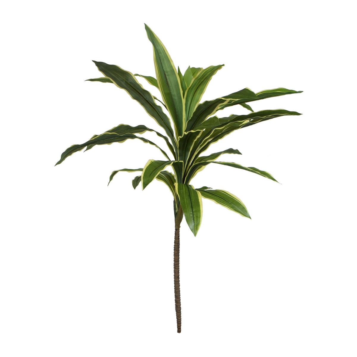 Vihreä traakkipuu – ruukkutekokasvi, 110 cm