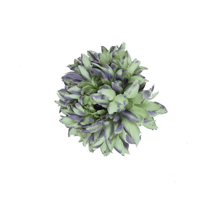 Vihreä/violetti tekokrysanteemin kukkapää, 18 cm