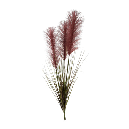 Viininpunainen koristeheinä – koristeheinä, 88 cm