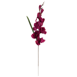 Violetti