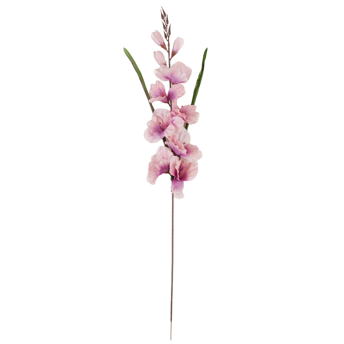 Violetti gladiolus – tekokukka, 80 cm
