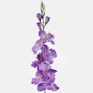 Violetti