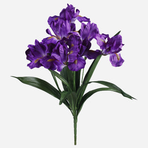 Violetti