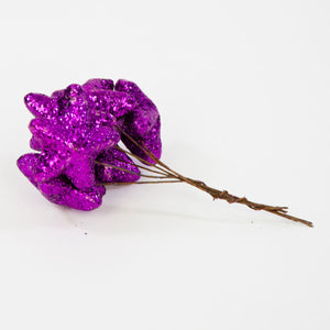 Violetti