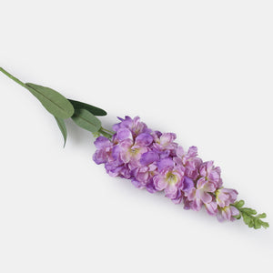 Violetti