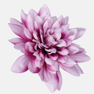 Violetti