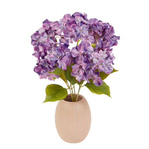 Violetti