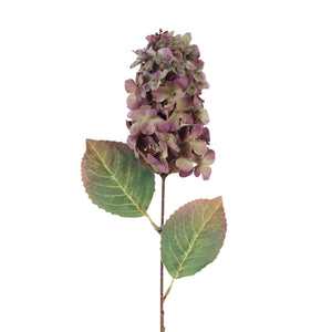 Violetti