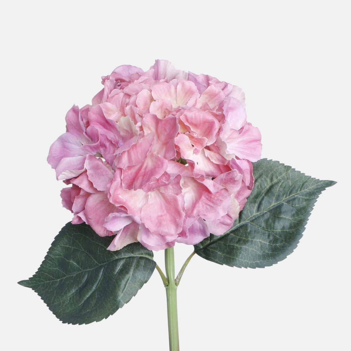 Violetti tekohortensian kukkavarsi, 60 cm