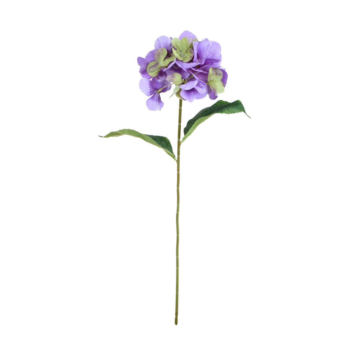 Violetti tekohortensian kukkavarsi, 60 cm