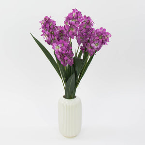 Violetti