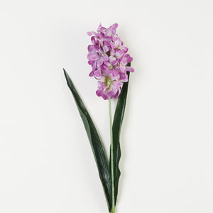 Violetti