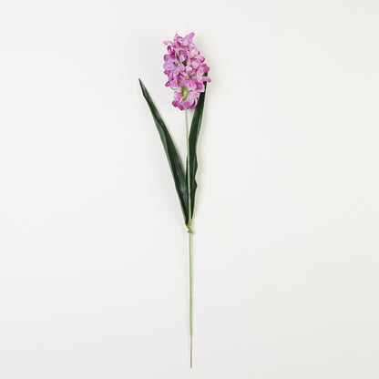 Violetti tekohyasintin kukkavarsi