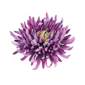 Violetti