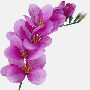Violetti