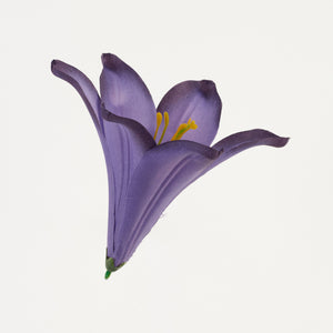 Violetti