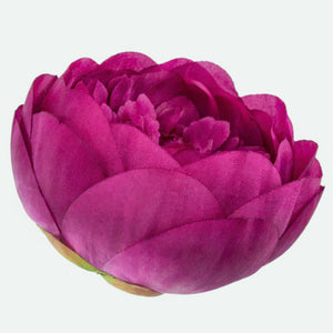 Violetti
